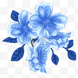 蓝色彩铅花花朵