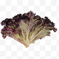 创意蔬菜图片_紫色创意蔬菜食物元素