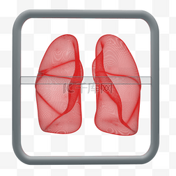 肺部吸氧图片_科技扫描人体器官肺部