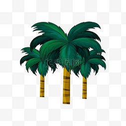 椰树热带图片_椰树树木