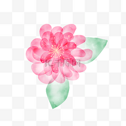水彩粉色花朵花卉