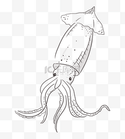 鱿鱼鸭肠图片_线描食物海鲜鱿鱼