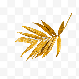 金色叶子树枝