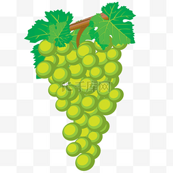 水果零食图片_青色的卡通葡萄水果
