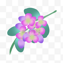 紫色小清新小花