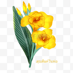手绘彩色花束花朵图片_泰国父亲节黄色美人蕉元素