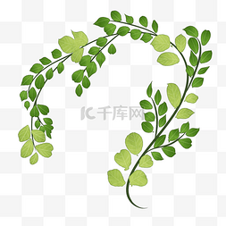 绿色藤蔓装饰插图