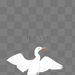 漂亮的天鹅图片_白色的天鹅免抠图