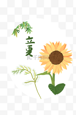 24节气立夏图片_立夏向日葵国风插画装饰图