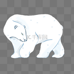 冬天动物北极熊
