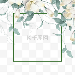 茉莉花手绘图片_手绘茉莉花线条边框