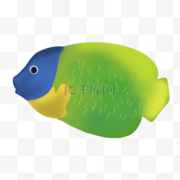 海底动物绿色小鱼
