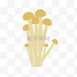 灌南金针菇图片_金针菇图标