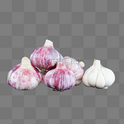 紫皮大蒜图片_餐饮食材新鲜的大蒜