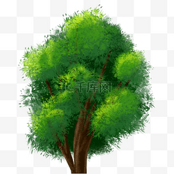 茂盛的绿色树木图片_茂盛的大树植物