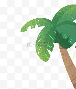 植物椰树图片_海边椰树