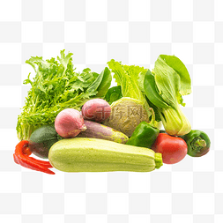 大棚绿色蔬菜组合