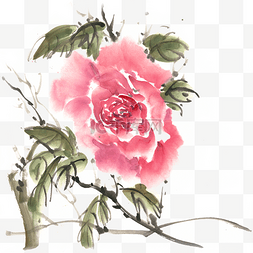 花朵意境图片_月季花朵水墨画PNG免抠素材