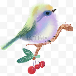 果子水彩图片_水彩动物手绘卡通鸟儿PNG