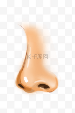 仰着鼻子的大象图片_人体器官鼻子插画