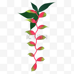 大自然小清新图片_热带植物一串粉色叶子免抠插图