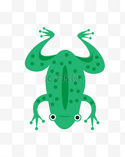 墨绿色青蛙图片_动物昆虫青蛙