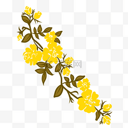 黄色小花花藤