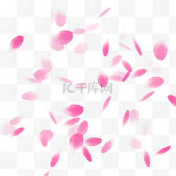 浪漫粉红色漂浮花瓣
