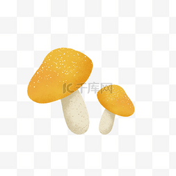 黄色的蘑菇