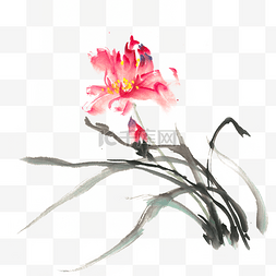 花瓣逼真图片_娇艳的花水墨画PNG免抠素材