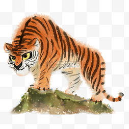 水彩动物手绘老虎元素