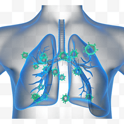 冠状病毒性肺炎人类模型3d元素