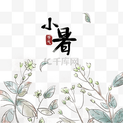 茉莉花手绘图片_小暑二十四节气手绘茉莉花