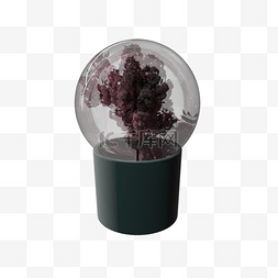 植物玻璃球图片_花盆上的紫色植物玻璃球