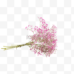 水嫩花朵图片_一束粉色满天星花卉