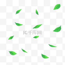 茶道绿叶装饰