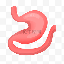 胃图片_粉红色胃器官插图