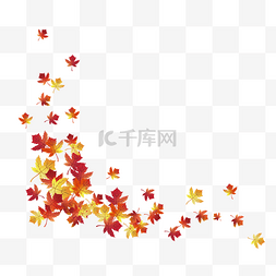 秋天枫叶矢量装饰