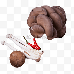 小米椒平菇香菇金针菇