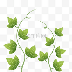 手绘风树叶图片图片_绿色植物叶手绘藤蔓子透明底免抠