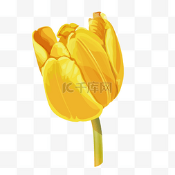 黄色花油画图片_黄色油画花朵