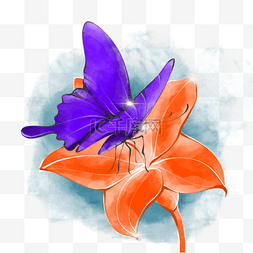 橙色水彩动物图片_水彩紫色蝴蝶手绘