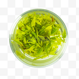 绿茶青茶茶水