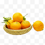 橘子桔子蜜桔