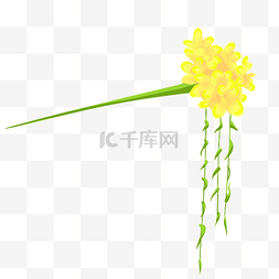 黄色油菜花簪子插画