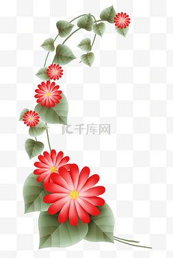 风红色的花图片_红色立体小菊花和叶子