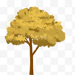 黄色秋天树叶树木