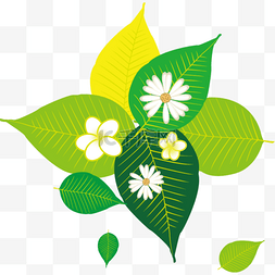 绿色清新淡雅树叶白色花朵