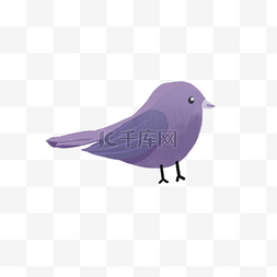 紫色小鸟图片_一只小鸟