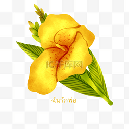 手绘彩色花束花朵图片_手绘泰国父亲节黄色美人蕉元素